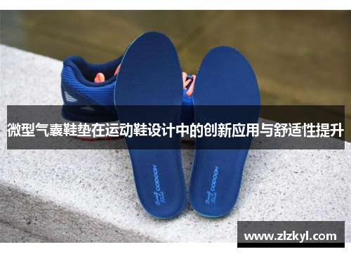 微型气囊鞋垫在运动鞋设计中的创新应用与舒适性提升
